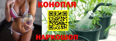 сатива Гатчина