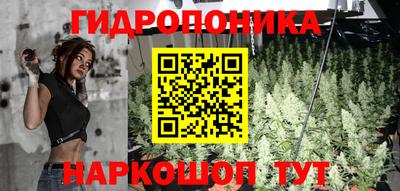 ПСИЛОЦИБИНОВЫЕ ГРИБЫ Гай