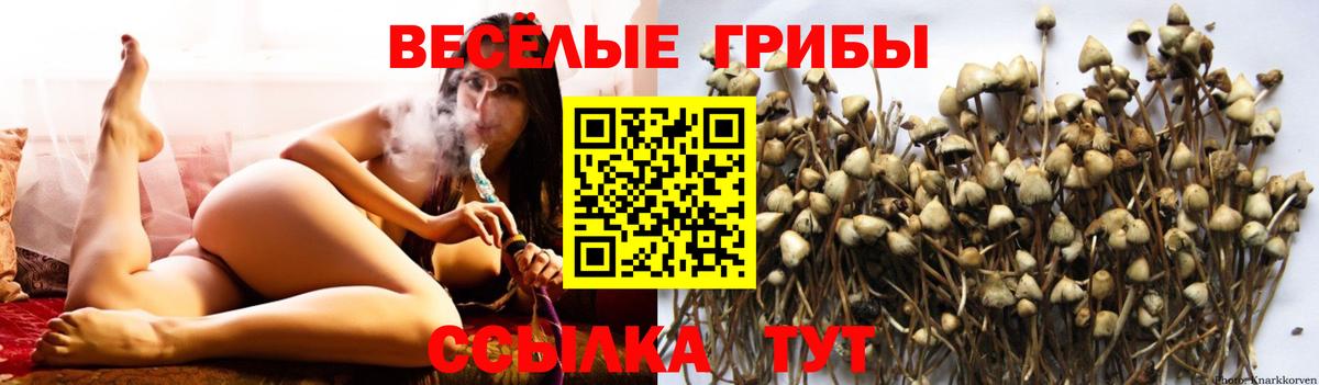 Мурманск  Псилоцибиновые грибы GOLDEN TEACHER  Вход с VPN  Галлюциногенные грибы мицелий 